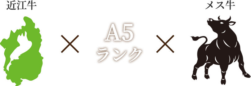 近江牛×A5ランク×メス牛